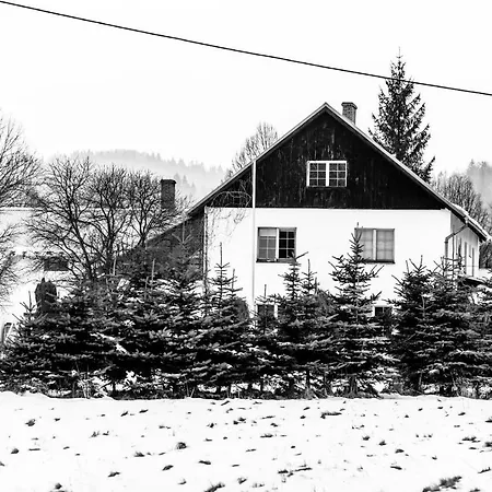 ファームステイ Odwaznyteam *