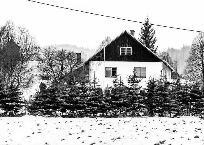 Gospodarstwo agroturystyczne Odważnyteam *